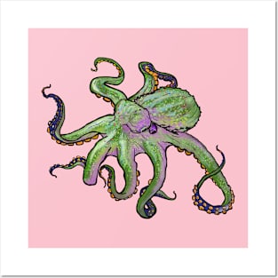 Octopus Watermelon Posters and Art